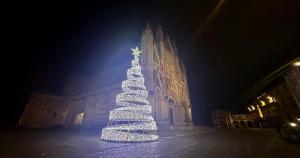  vista dell'albero di Natale allestito in Piazza Duomo - Orvieto 